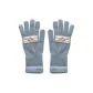 MG-9018 Blue Glove