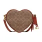 Bag+Dust Bag