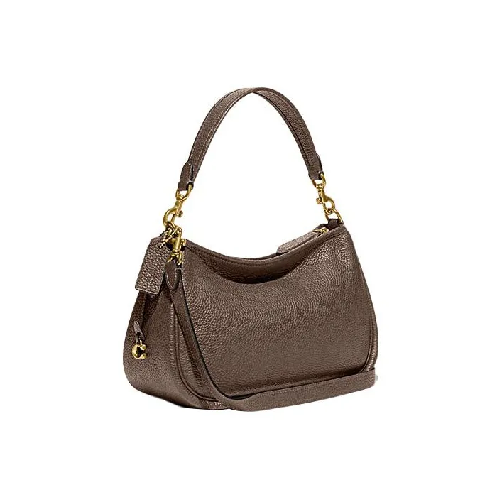 COACH Cary Handbags-2