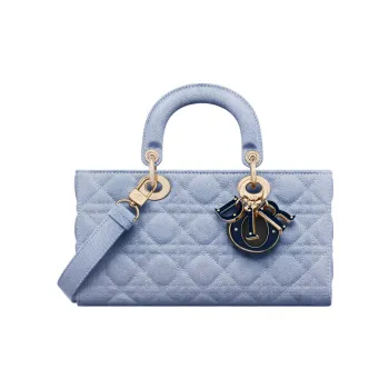 DIOR Lady D Joy Handbags