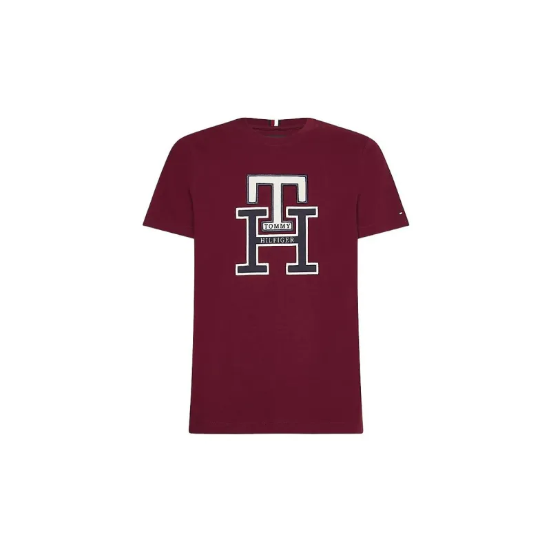 Tommy Hilfiger FW22 T Shirt Men's Red-0