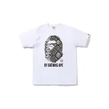White Gray