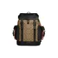 Bag+Dust Bag