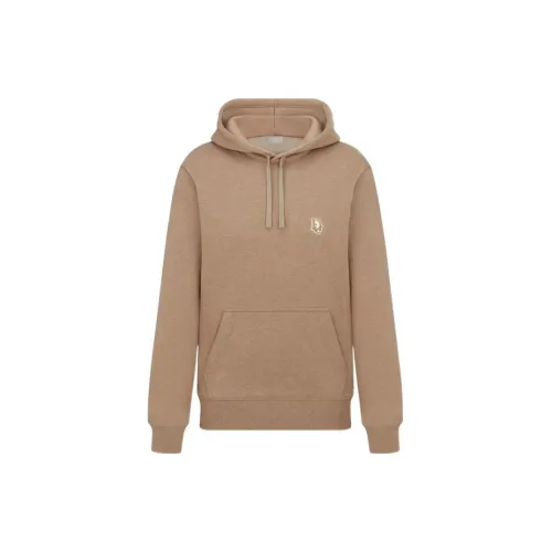 DIOR Sweatshirts Men Brown