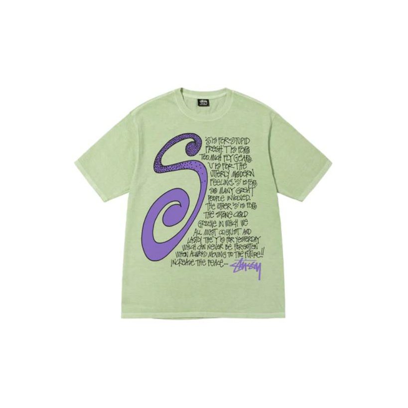 ★23SS★STUSSY SPRAYCAN TEE 1207835_00.png.png