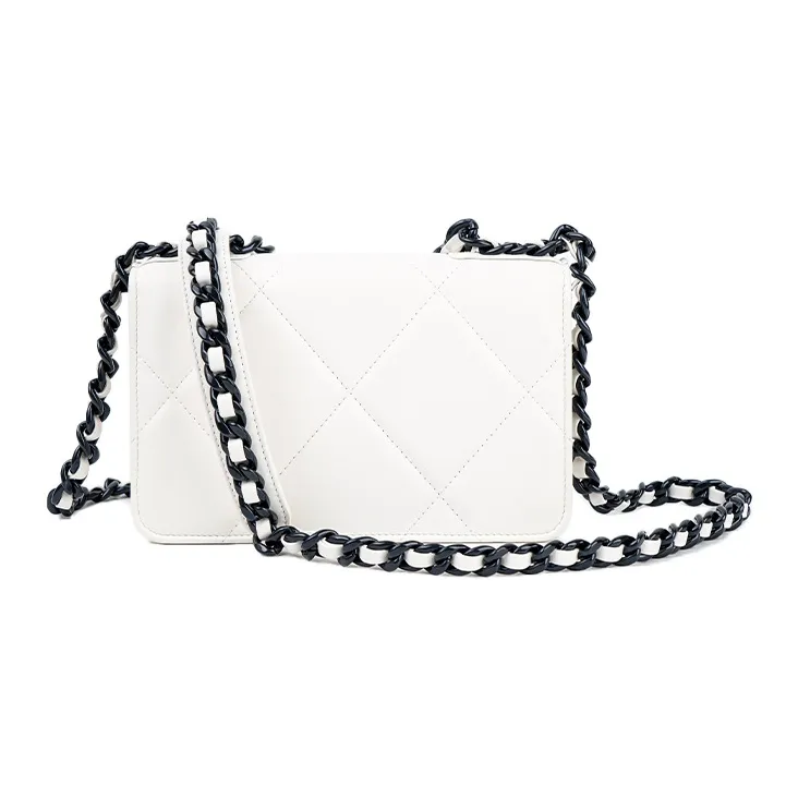 CHANEL WOC Crossbody Bags-4
