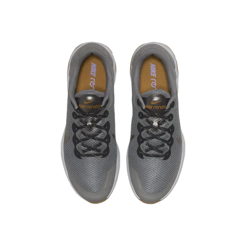Nike Renew Ride 3 'Pewter Gold Suede'-3