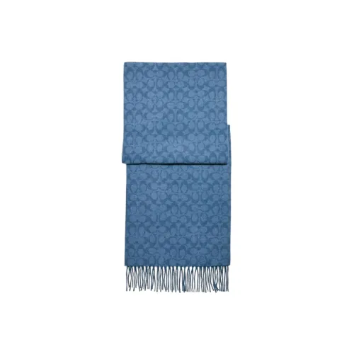 COACH Men Knit Scarf