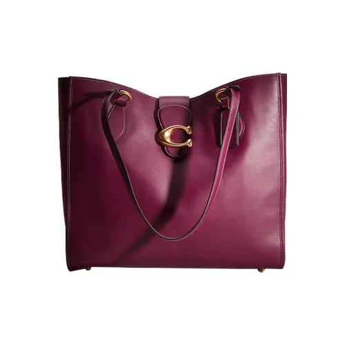 COACH Theo Tote Handbags