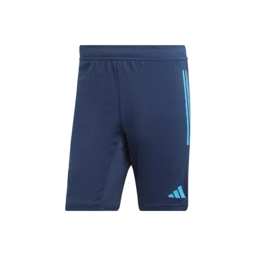 Adidas Argentina Soccer Bottoms Men Blue