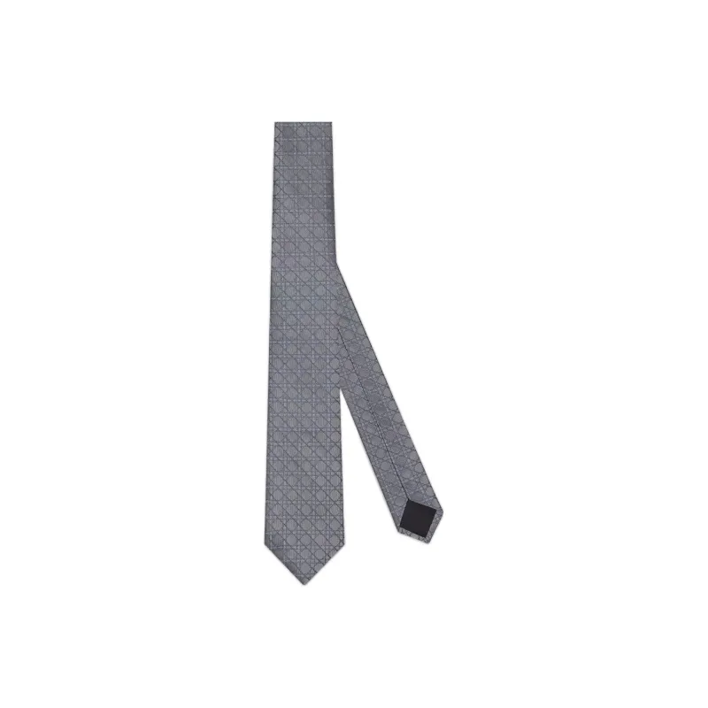 DIOR Ties Men Gray-0
