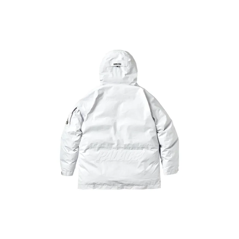 PALACE Gore-Tex Down Parka - POIZON