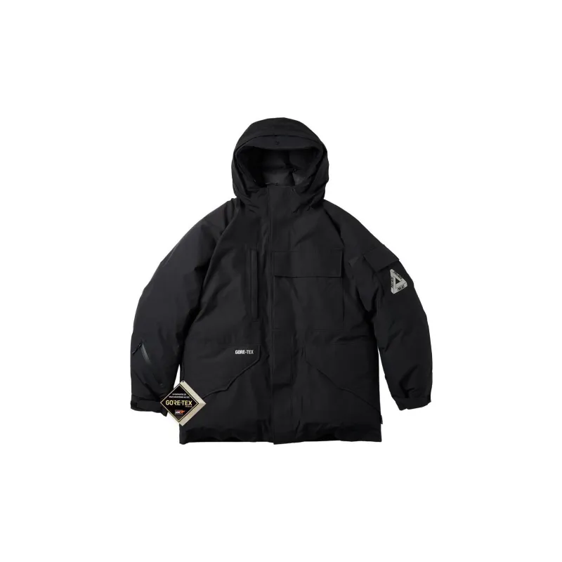 PALACE Gore Tex Down Parka-1