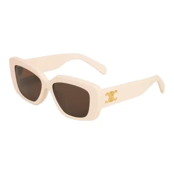 CELINE Triomphe 04 Sunglasses In Acetate
