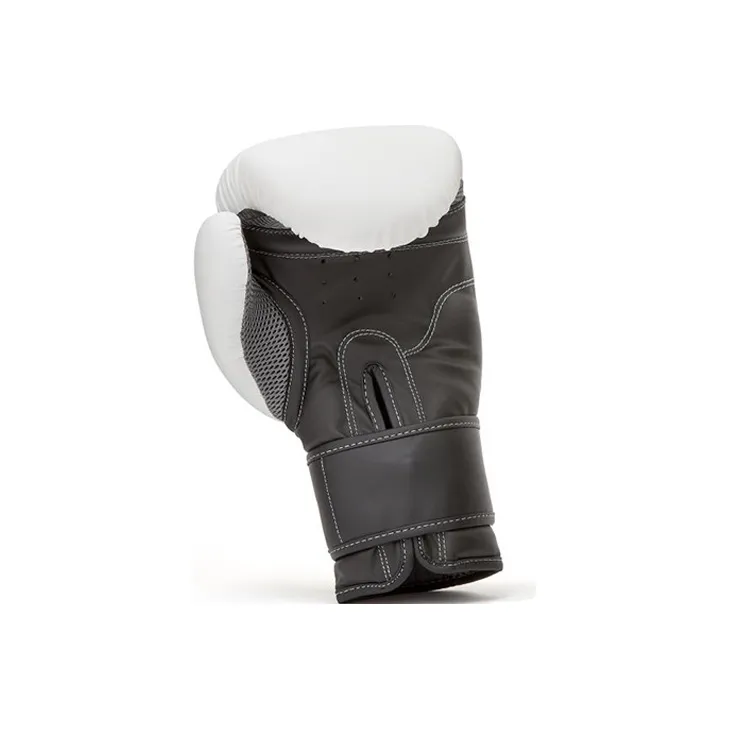 Reebok Boxing Gloves-2
