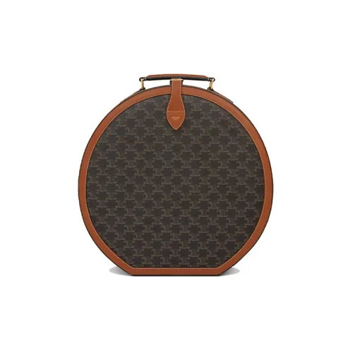 celine Taylor Triomphe Canvas With Calfskin Storage Bag Women's Brown