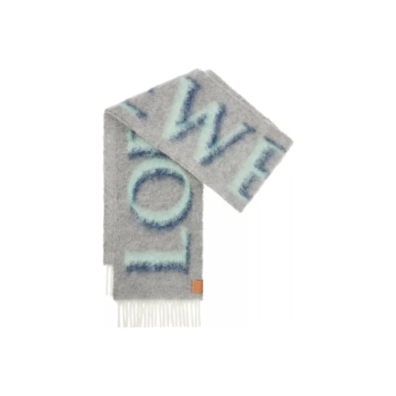 LOEWE Knit Scarves Women's-0