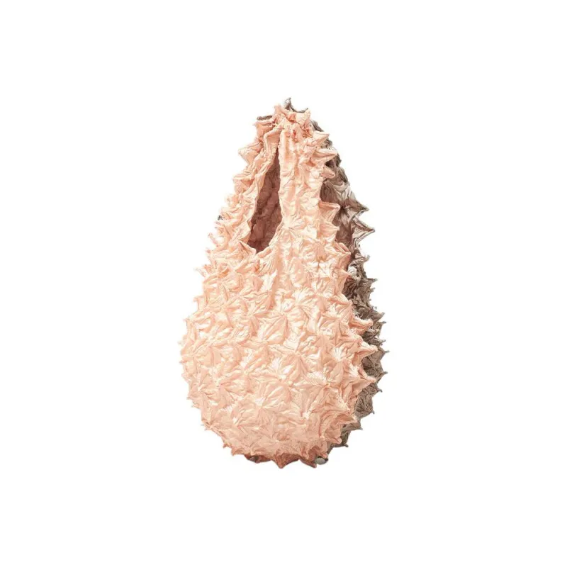 BUNZABURO Polyester Sea Cucumber Bag Durian Bag Handbag Regular Unisex Shirley Rose-0