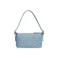Bag+Dust Bag