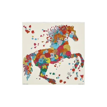 HERMES Robe Legere Silk Scarves Women's