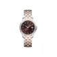 Brown Watch Dial
