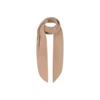LOUIS VUITTON Lv Spotlight Stole