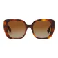 Tortoiseshell