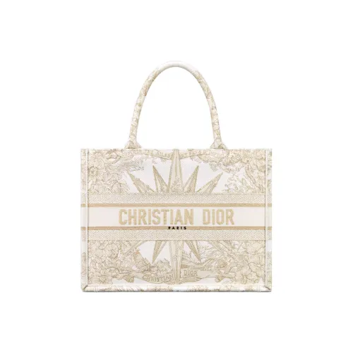 DIOR BookTote Handbags