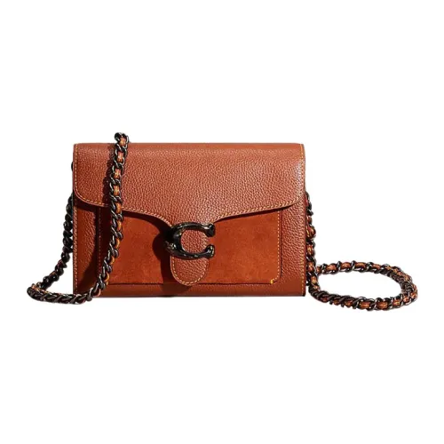 COACH Chain Crossbody Bags