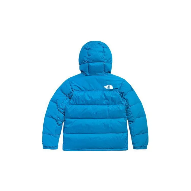THE NORTH FACE UE Series Down Jacket Men's Blue-1