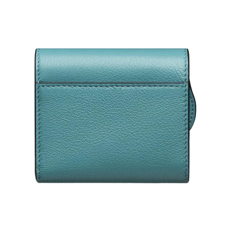 DIOR Saddle Goatskin Card Holder Wallet Women's Sky Blue-1