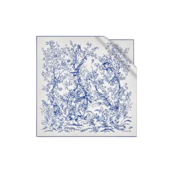 DIOR Silk Scarves Women's Blue/White