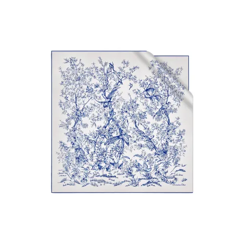 DIOR Silk Scarves Women's Blue/White