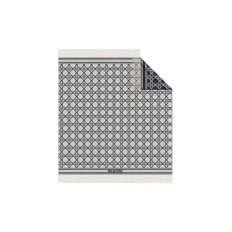 DIOR Patterned Frayed Edge Scarf-2