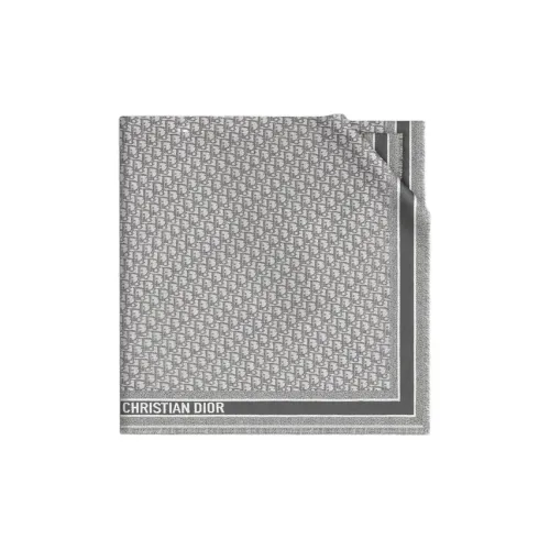 DIOR Shawls Women's Gray