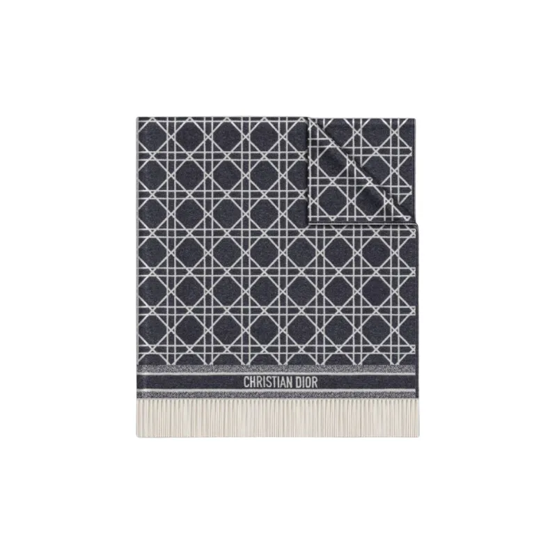 DIOR Patterned Frayed Edge Scarf-0