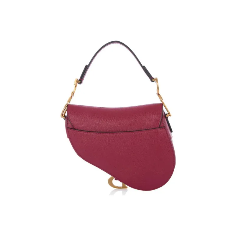DIOR Saddle Handbags-2