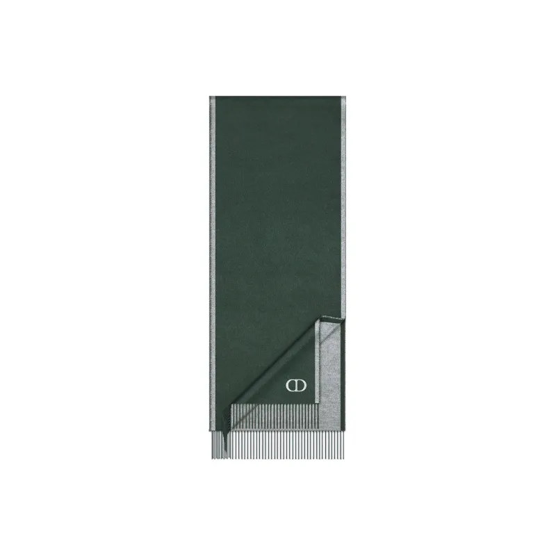 DIOR Silk Scarves Men-0