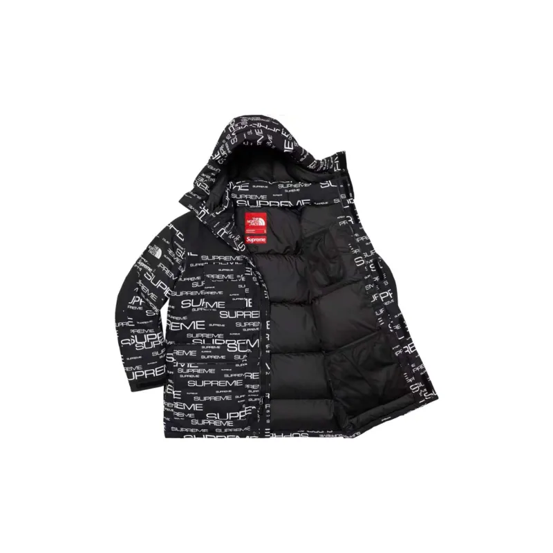 Supreme The North Face Coldworks 700 Fill Down Parka-3