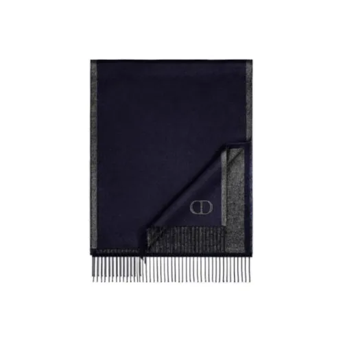 DIOR Silk Scarves Men Blue