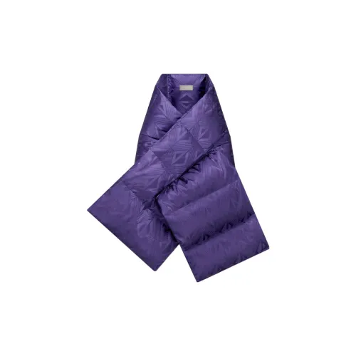 DIOR Scarves Men Purple