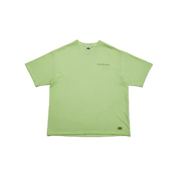 Dickies SS22 T Shirt Men's Light Green