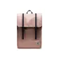 Gray Rose (Tubas 17.5 L) 15 Inches Laptop
