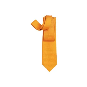 HERMES Ties Men Yellow