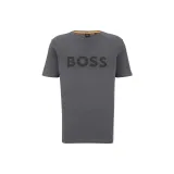 Charcoal Gray