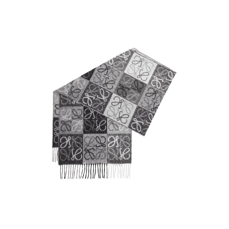 LOEWE Wool Cashmere Knit Scarves Women's-1