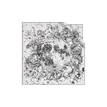 DIOR Silk Scarves Women's White/Black