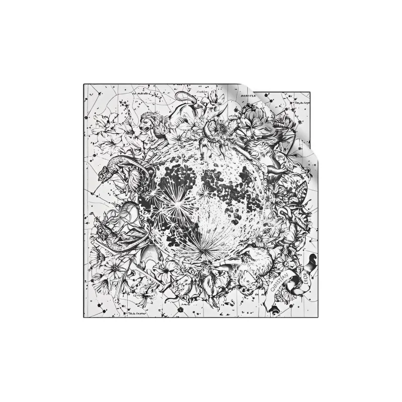 DIOR Silk Scarves Women's White/Black-0