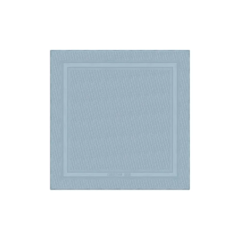 DIOR Knit Scarves Women's Blue-1