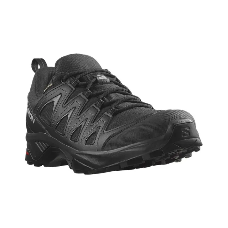 SALOMON X Braze Gtx / L00-2